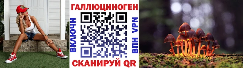 нарко площадка телеграм  Белый  Галлюциногенные грибы Psilocybe 